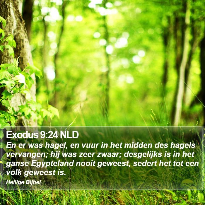 Exodus 9:24 NLD Bible Study