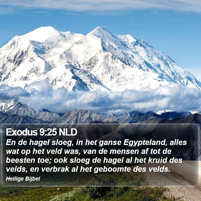 Exodus 9:25 NLD Bible Study