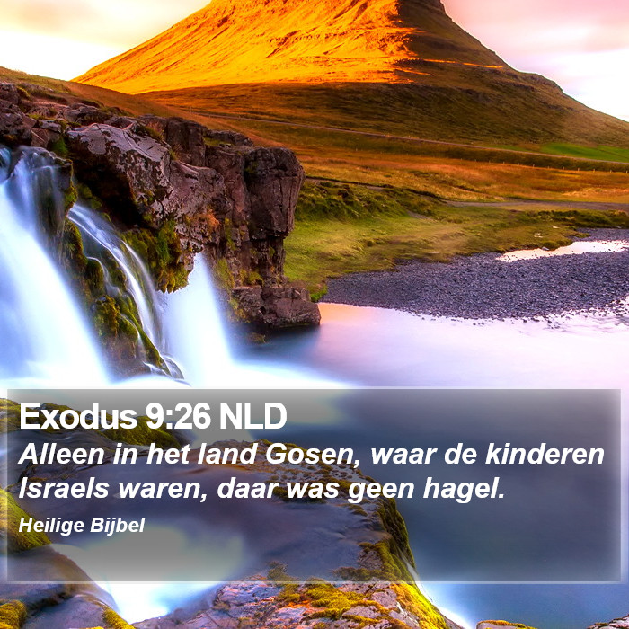 Exodus 9:26 NLD Bible Study