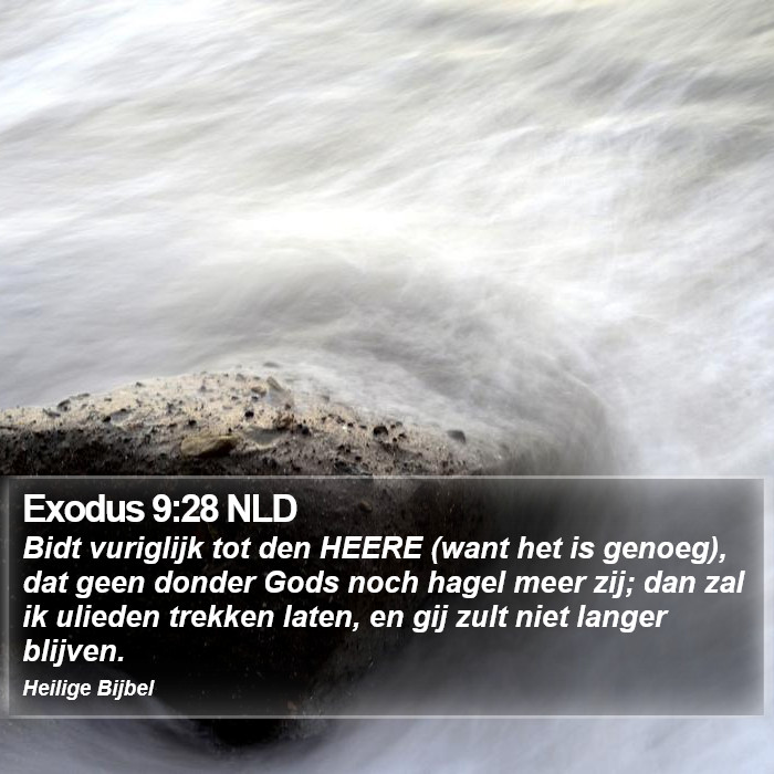 Exodus 9:28 NLD Bible Study