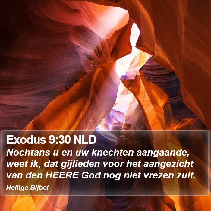 Exodus 9:30 NLD Bible Study