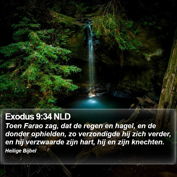 Exodus 9:34 NLD Bible Study