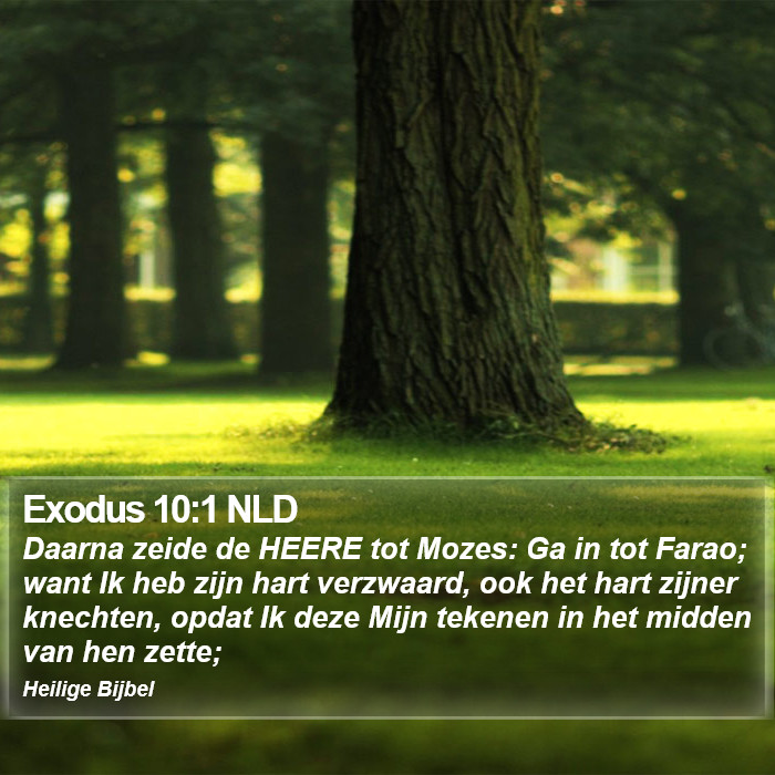 Exodus 10:1 NLD Bible Study