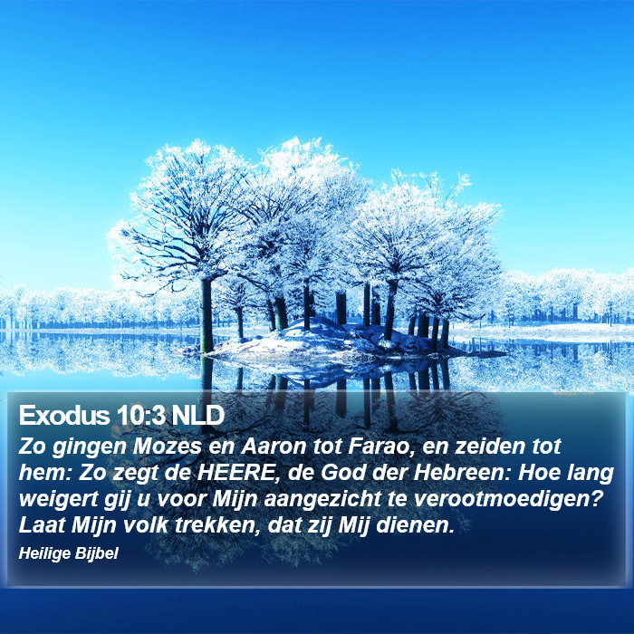 Exodus 10:3 NLD Bible Study