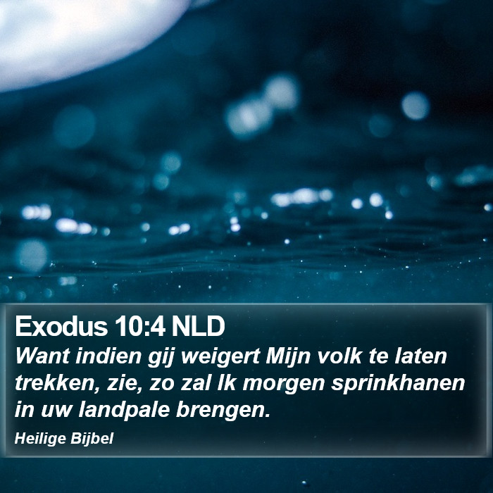 Exodus 10:4 NLD Bible Study