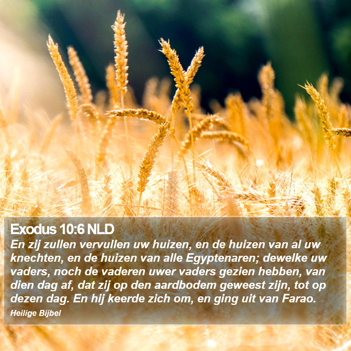 Exodus 10:6 NLD Bible Study