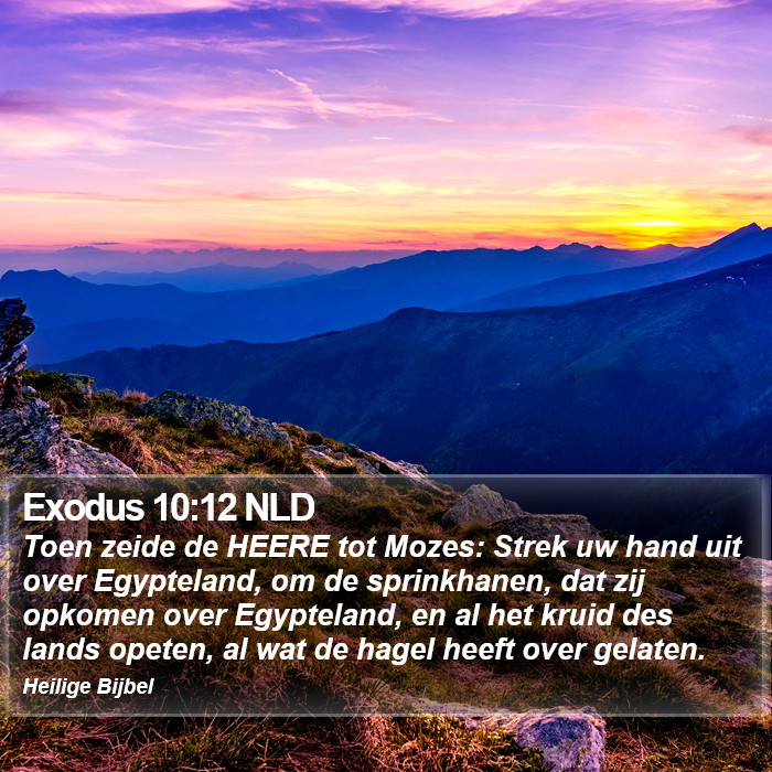 Exodus 10:12 NLD Bible Study