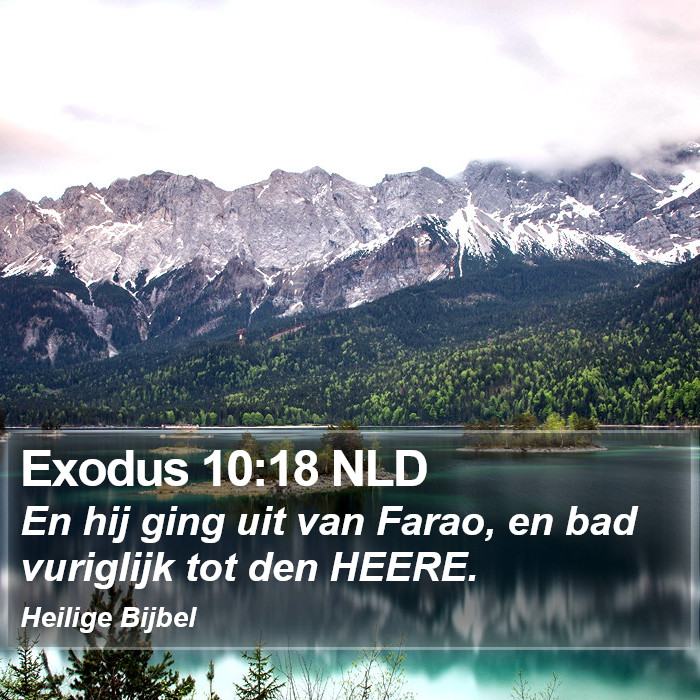 Exodus 10:18 NLD Bible Study