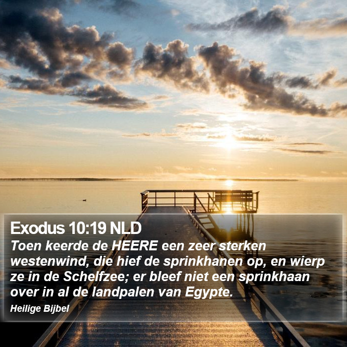 Exodus 10:19 NLD Bible Study