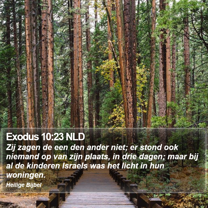 Exodus 10:23 NLD Bible Study