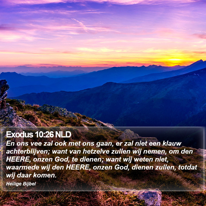 Exodus 10:26 NLD Bible Study