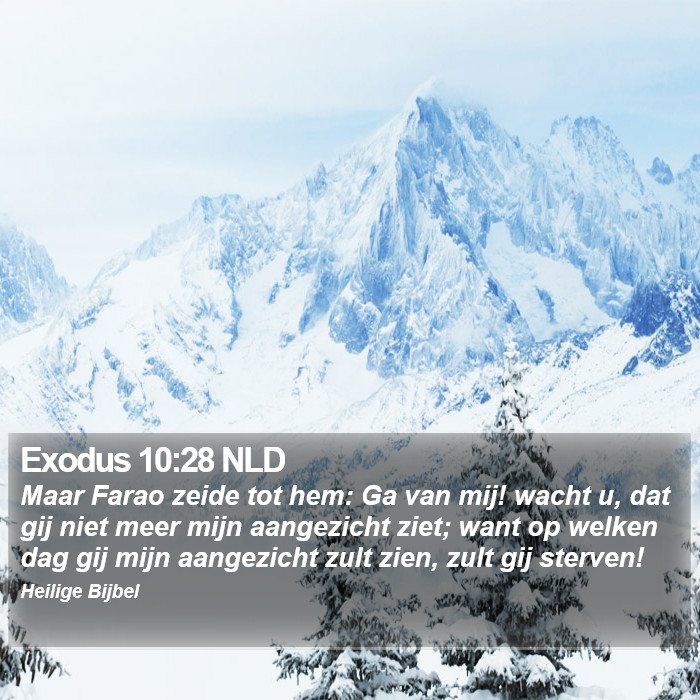 Exodus 10:28 NLD Bible Study