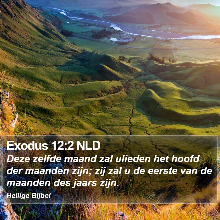 Exodus 12:2 NLD Bible Study