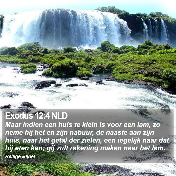 Exodus 12:4 NLD Bible Study