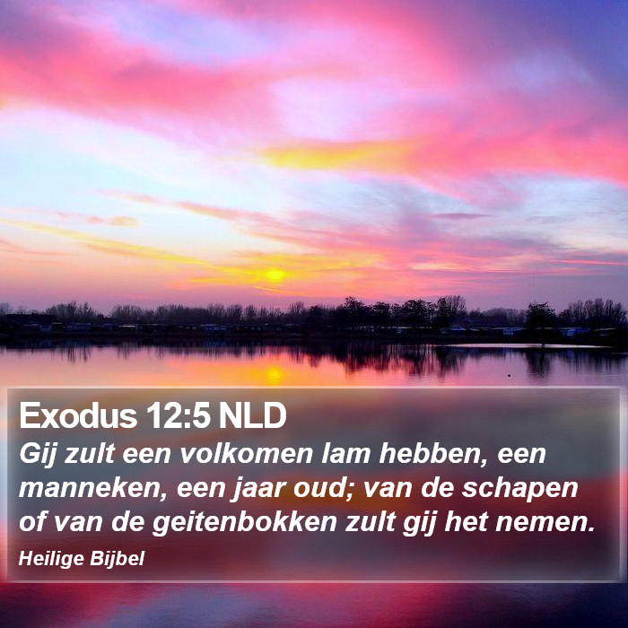 Exodus 12:5 NLD Bible Study