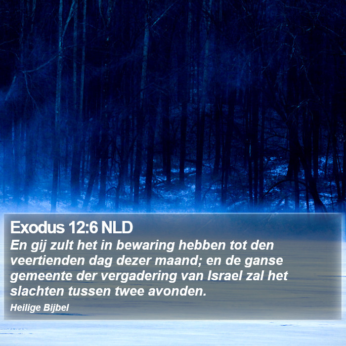 Exodus 12:6 NLD Bible Study