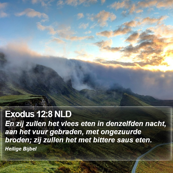 Exodus 12:8 NLD Bible Study