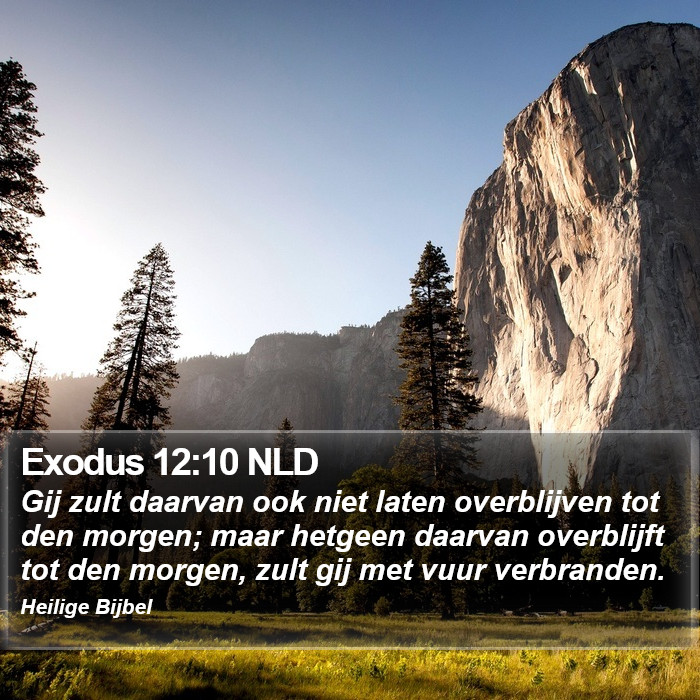 Exodus 12:10 NLD Bible Study