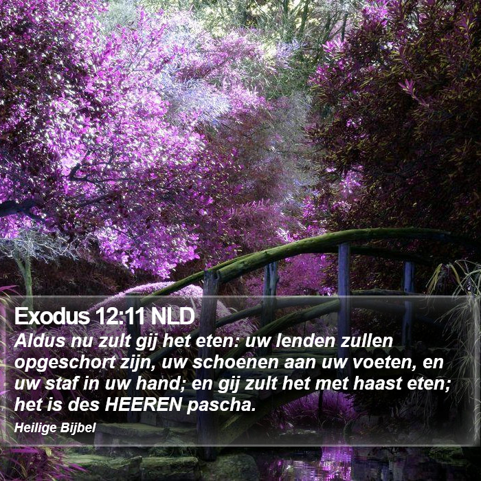 Exodus 12:11 NLD Bible Study