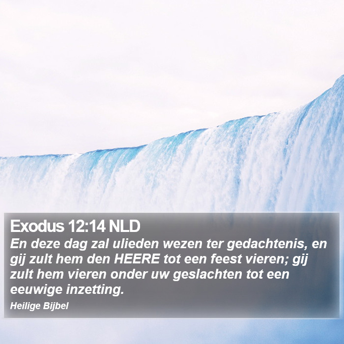 Exodus 12:14 NLD Bible Study