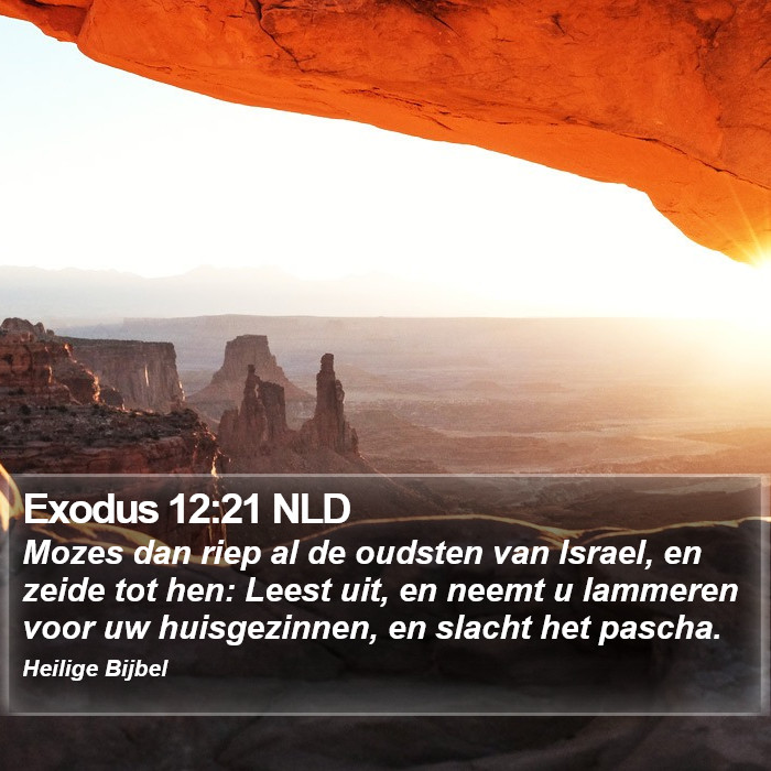 Exodus 12:21 NLD Bible Study