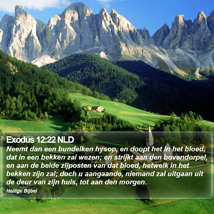 Exodus 12:22 NLD Bible Study