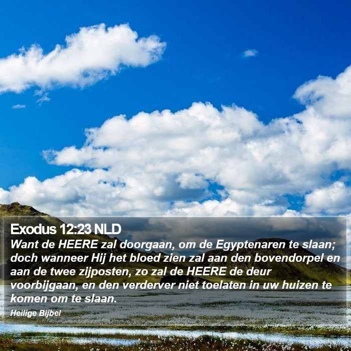 Exodus 12:23 NLD Bible Study