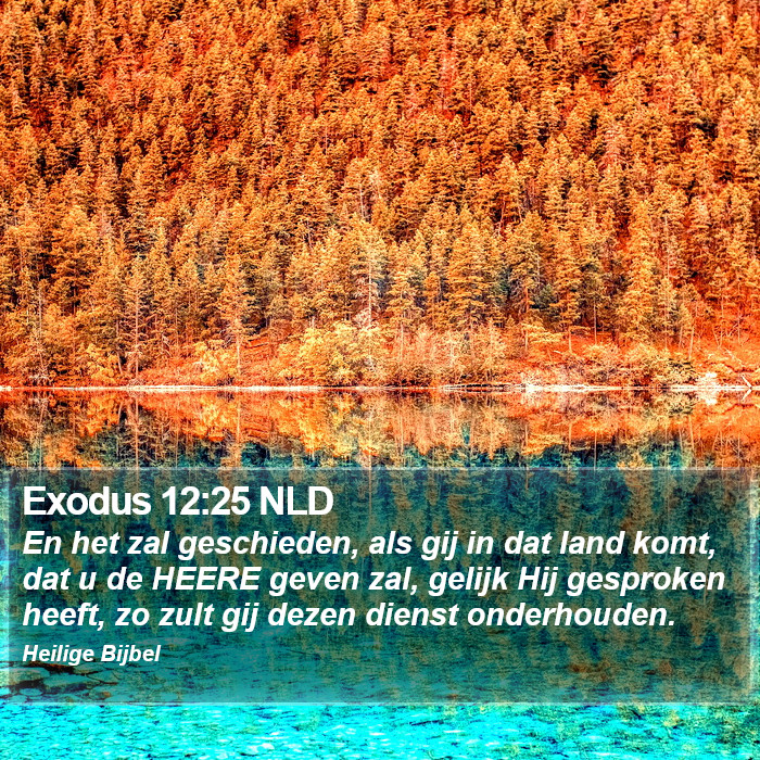 Exodus 12:25 NLD Bible Study