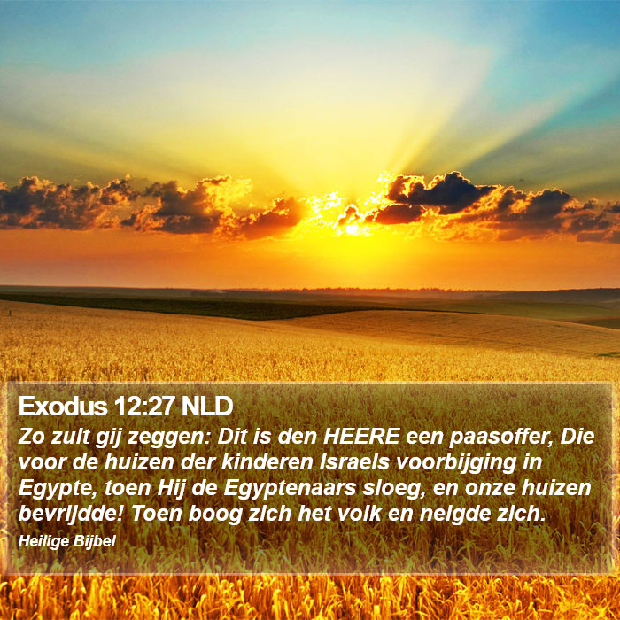 Exodus 12:27 NLD Bible Study