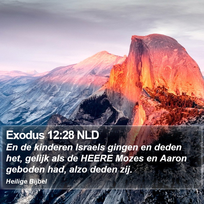 Exodus 12:28 NLD Bible Study