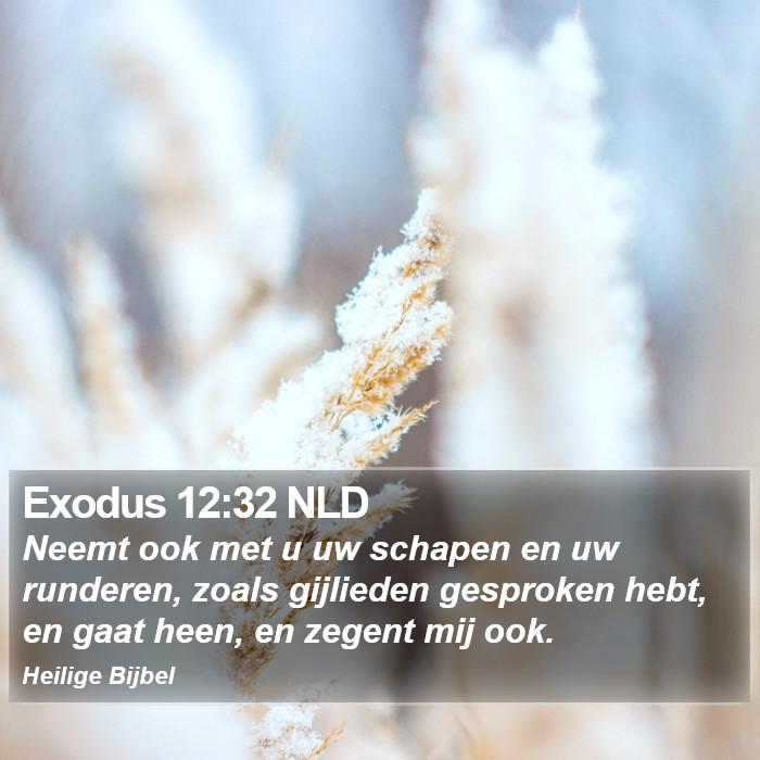 Exodus 12:32 NLD Bible Study