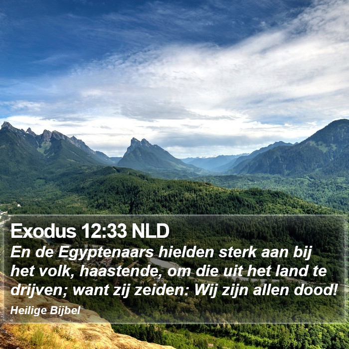 Exodus 12:33 NLD Bible Study