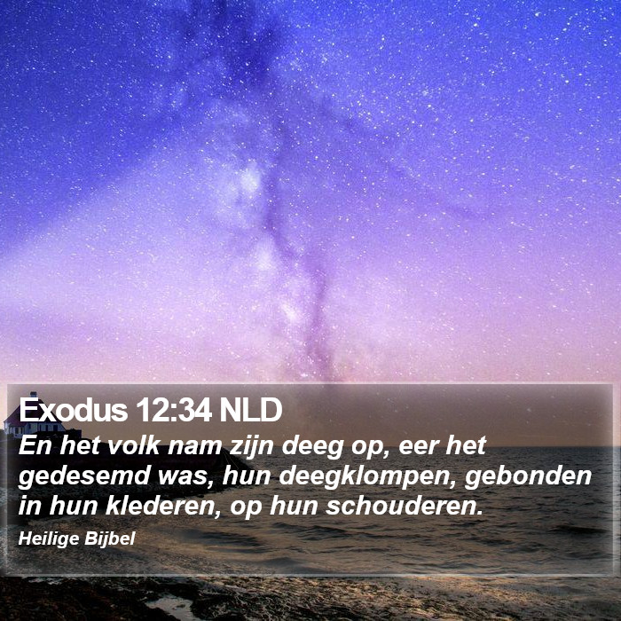 Exodus 12:34 NLD Bible Study