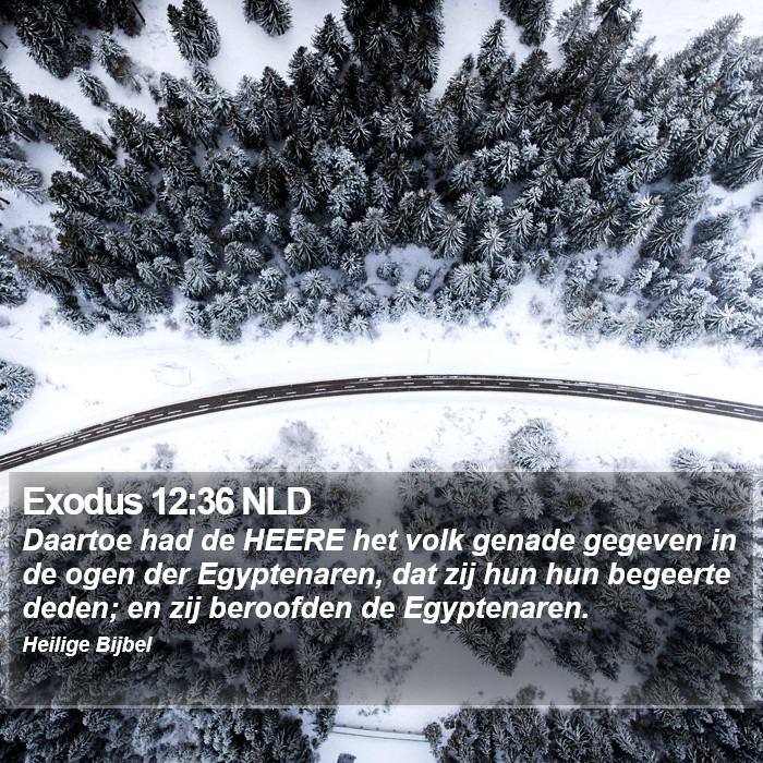 Exodus 12:36 NLD Bible Study