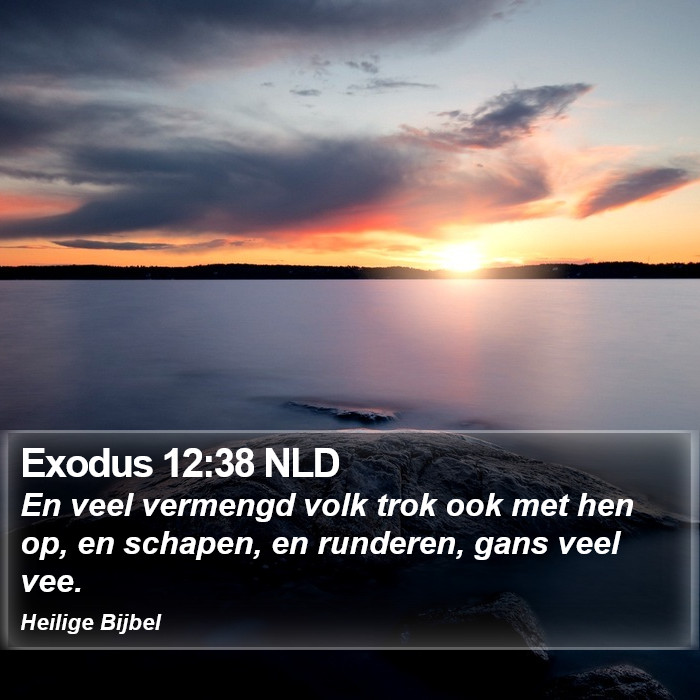 Exodus 12:38 NLD Bible Study