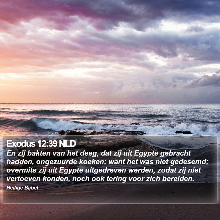 Exodus 12:39 NLD Bible Study