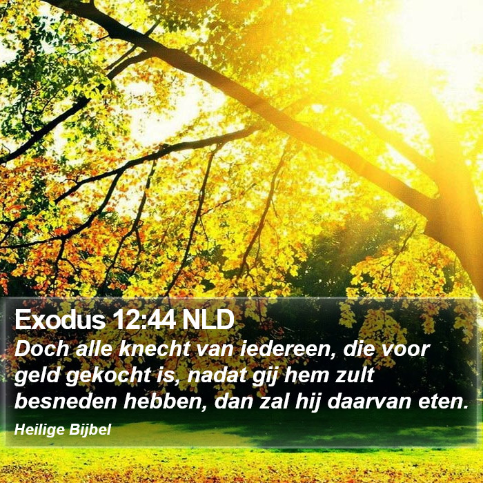 Exodus 12:44 NLD Bible Study