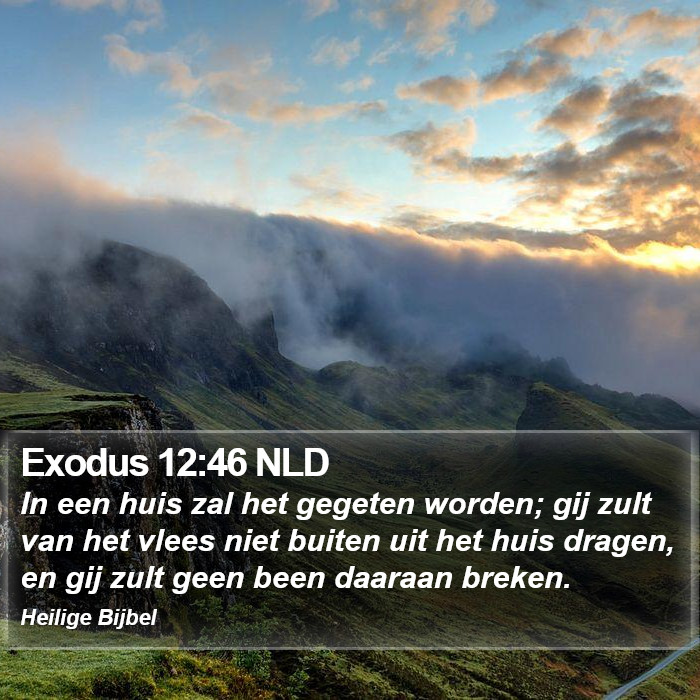 Exodus 12:46 NLD Bible Study