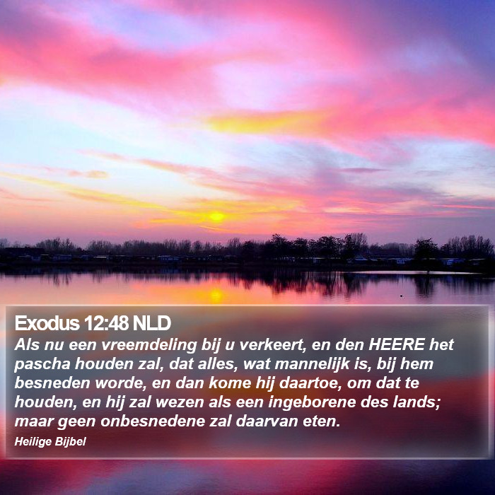 Exodus 12:48 NLD Bible Study