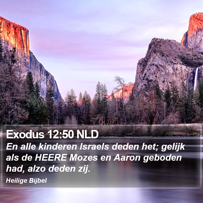 Exodus 12:50 NLD Bible Study