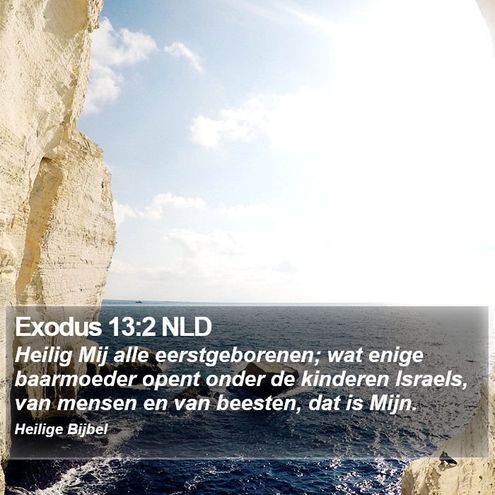 Exodus 13:2 NLD Bible Study