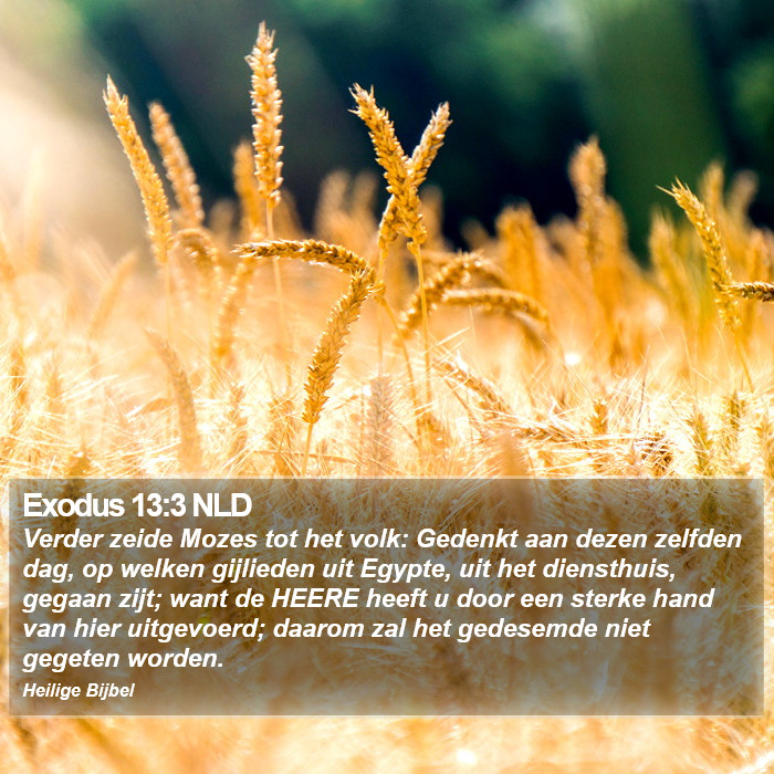 Exodus 13:3 NLD Bible Study