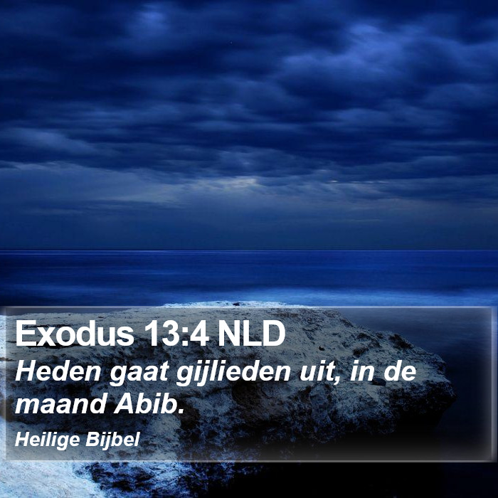 Exodus 13:4 NLD Bible Study