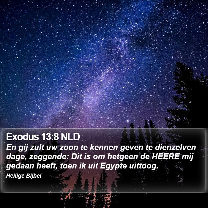 Exodus 13:8 NLD Bible Study