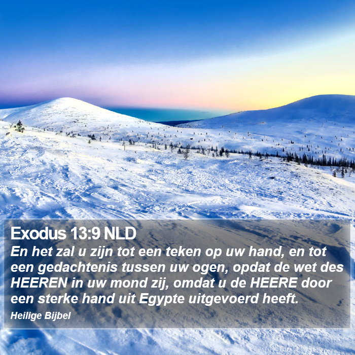 Exodus 13:9 NLD Bible Study