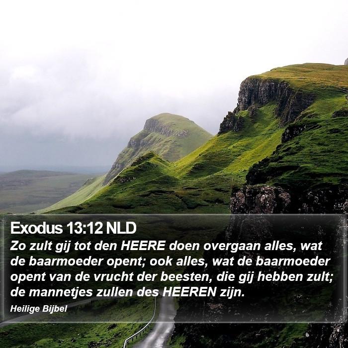 Exodus 13:12 NLD Bible Study