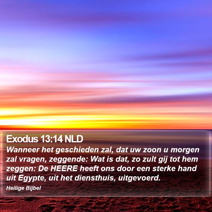 Exodus 13:14 NLD Bible Study