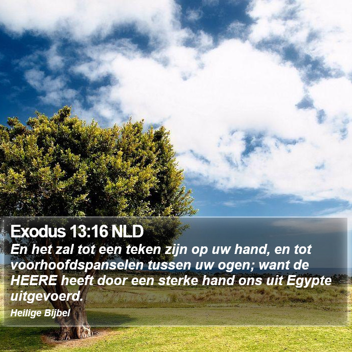 Exodus 13:16 NLD Bible Study