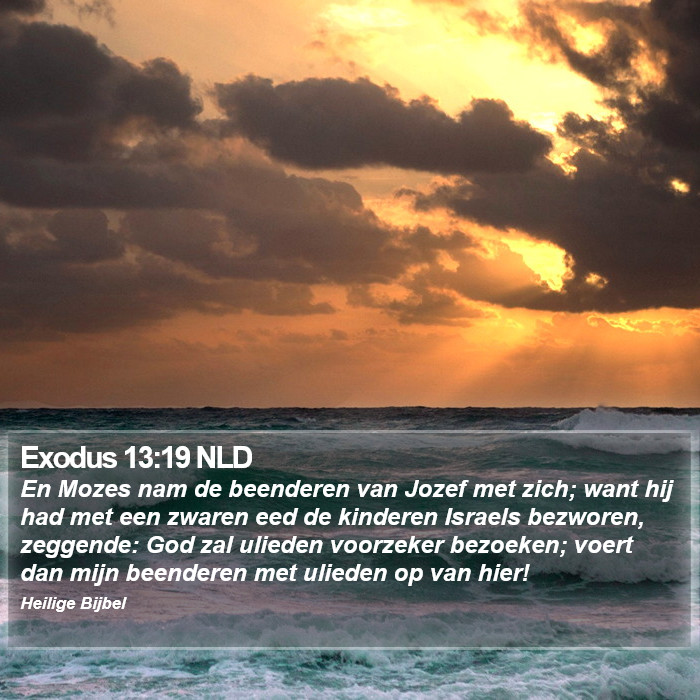 Exodus 13:19 NLD Bible Study