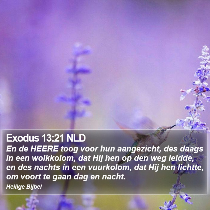 Exodus 13:21 NLD Bible Study